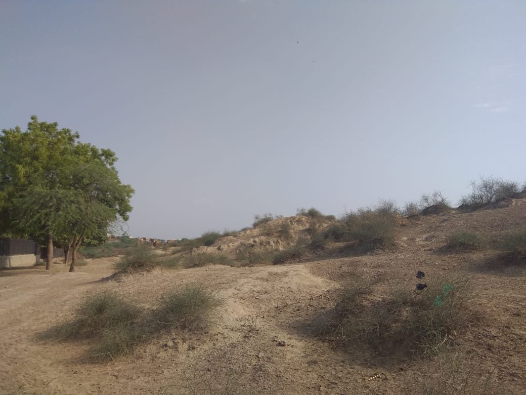 Rakhigarhi