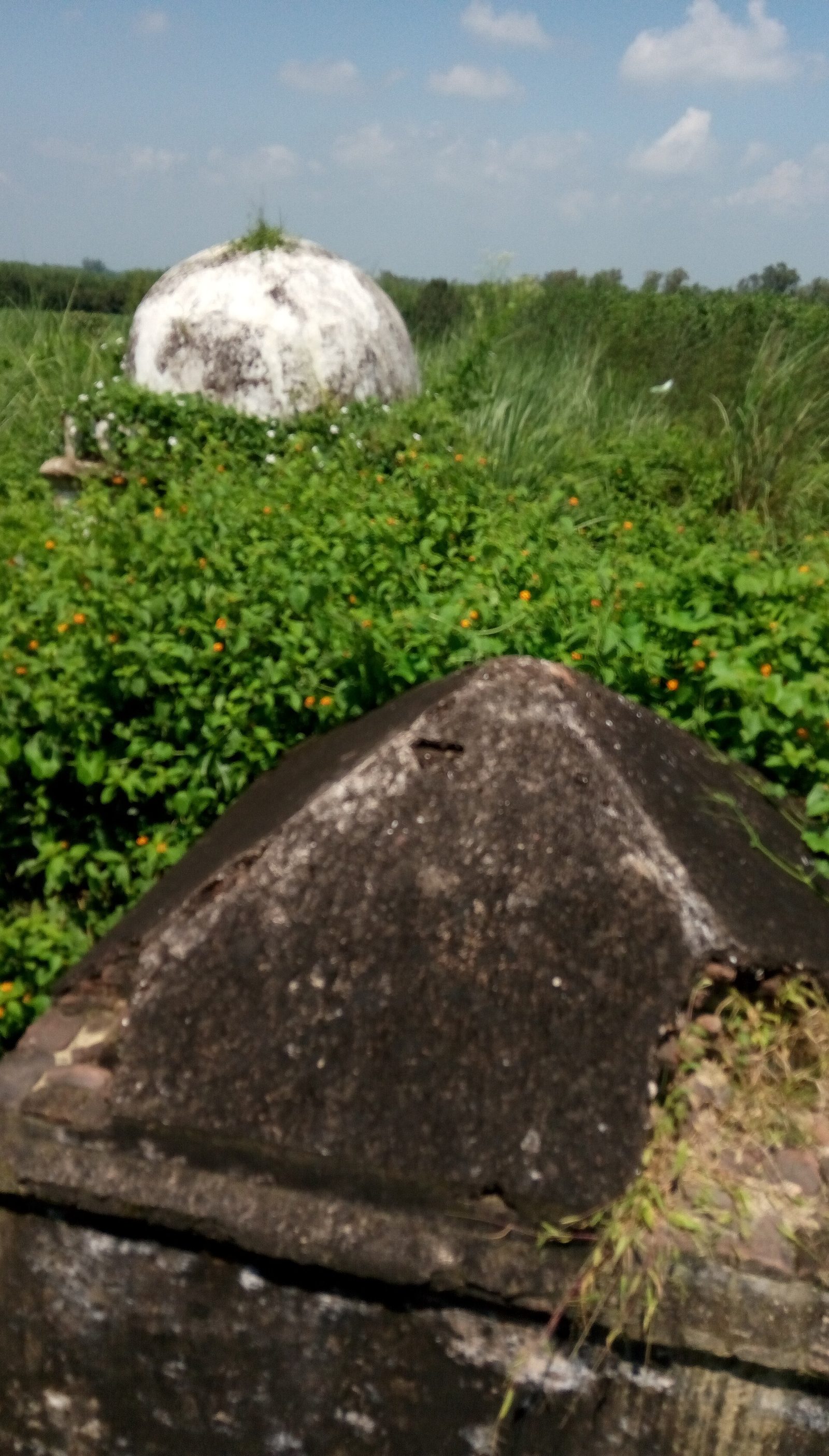 Sugh Ancient Mound (Srughna)