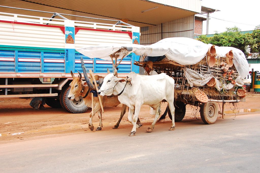 Bullock-Cart Ride & Village Life Experience